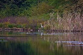 Parco naturale dei Lagoni di Mercurago